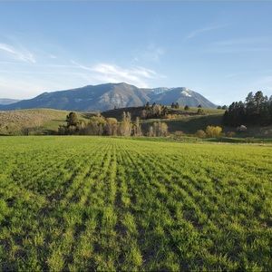 Meet your Posher, Paige